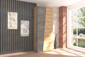 Аллегро-10 Шкаф двухдверный Диал в Нефтеюганске - nefteyugansk.mebel-tymen.ru | фото