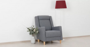 Дилан Кресло для отдыха арт. ТК 423 в Нефтеюганске - nefteyugansk.mebel-tymen.ru | фото