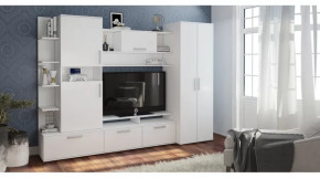 Гостиная Денвер в Нефтеюганске - nefteyugansk.mebel-tymen.ru | фото