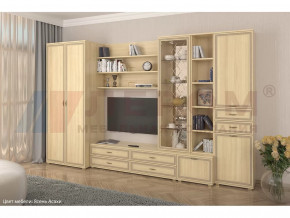 Гостиная Карина набор 11 в Нефтеюганске - nefteyugansk.mebel-tymen.ru | фото