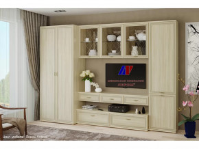 Гостиная Карина набор 23 в Нефтеюганске - nefteyugansk.mebel-tymen.ru | фото