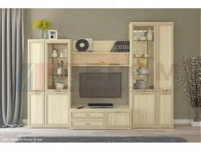 Гостиная Карина набор 24 в Нефтеюганске - nefteyugansk.mebel-tymen.ru | фото