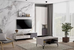 Гостиная Лион №3 Ясень анкор светлый/Графит Диал в Нефтеюганске - nefteyugansk.mebel-tymen.ru | фото