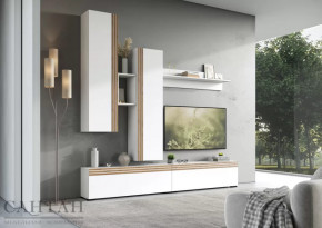 Гостиная НАО-Моно №1 в Нефтеюганске - nefteyugansk.mebel-tymen.ru | фото