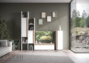 Гостиная НАО-Моно №3 в Нефтеюганске - nefteyugansk.mebel-tymen.ru | фото