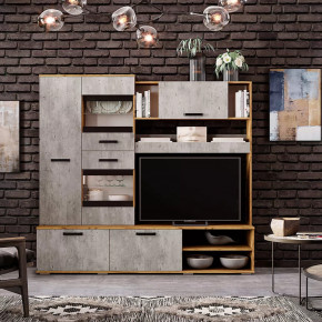 Гостиная Трамп ЦС-05 в Нефтеюганске - nefteyugansk.mebel-tymen.ru | фото