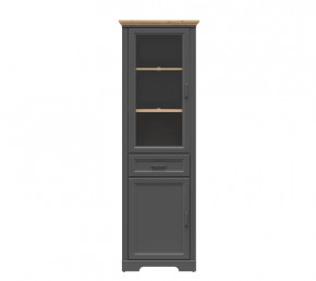 JASMIN шкаф REG1W1D1S (Графит/ Дуб артизан) в Нефтеюганске - nefteyugansk.mebel-tymen.ru | фото