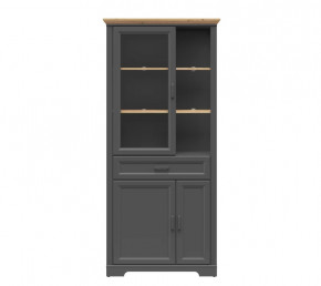 JASMIN шкаф REG1W2D1S (Графит/ Дуб артизан) в Нефтеюганске - nefteyugansk.mebel-tymen.ru | фото