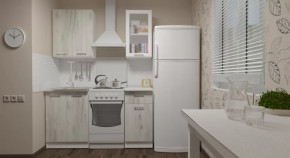 Кухонный гарнитур Алина мини 1000 мм в Нефтеюганске - nefteyugansk.mebel-tymen.ru | фото