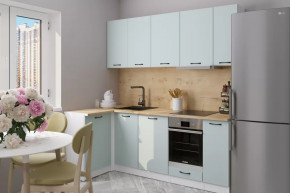 Кухонный гарнитур Лиора прайм 400 1100х2000 мм в Нефтеюганске - nefteyugansk.mebel-tymen.ru | фото