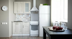 Кухонный гарнитур Лира мини 1000 мм в Нефтеюганске - nefteyugansk.mebel-tymen.ru | фото