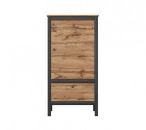 LOFT шкаф REG1D1S/60 (Дуб вотан/Черный) в Нефтеюганске - nefteyugansk.mebel-tymen.ru | фото