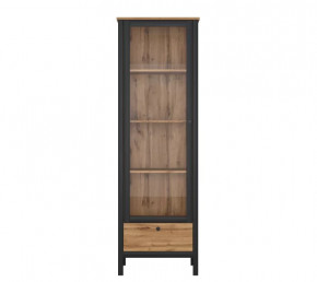 LOFT шкаф REG1W1S (Дуб вотан/Черный) в Нефтеюганске - nefteyugansk.mebel-tymen.ru | фото