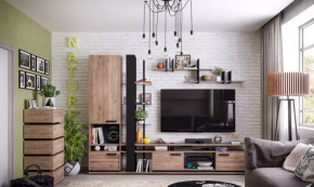 Модульная гостиная Nature в Нефтеюганске - nefteyugansk.mebel-tymen.ru | фото