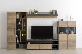 Модульная гостиная Трувор в Нефтеюганске - nefteyugansk.mebel-tymen.ru | фото