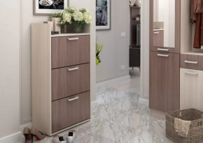 Обувница №2 Дели в Нефтеюганске - nefteyugansk.mebel-tymen.ru | фото