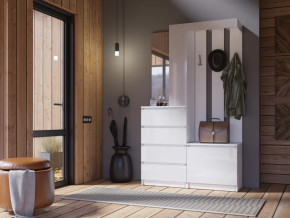 Прихожая Челси белый в Нефтеюганске - nefteyugansk.mebel-tymen.ru | фото