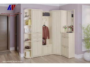 Прихожая Карина набор 5 в Нефтеюганске - nefteyugansk.mebel-tymen.ru | фото