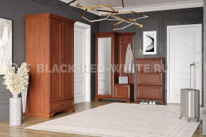 Прихожая Kentaki каштан в Нефтеюганске - nefteyugansk.mebel-tymen.ru | фото