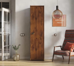 Шкаф JREG 1d Дуб саттер ИНДИАНА в Нефтеюганске - nefteyugansk.mebel-tymen.ru | фото