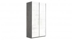 Шкаф-купе 2-х дверный «Траст» в Нефтеюганске - nefteyugansk.mebel-tymen.ru | фото