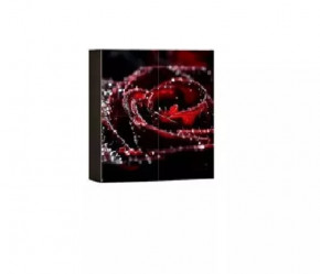 Шкаф навесной Киото 904 К (фотопечать) в Нефтеюганске - nefteyugansk.mebel-tymen.ru | фото