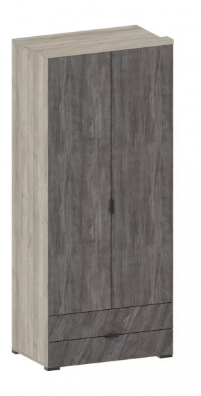 Шкаф Шаде ШК-2905 в Нефтеюганске - nefteyugansk.mebel-tymen.ru | фото