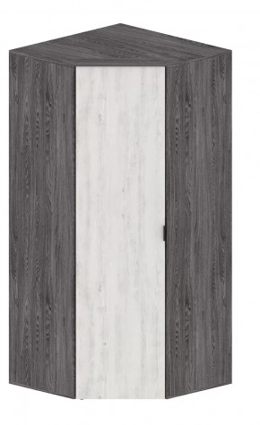 Шкаф Шаде ШК-2910 в Нефтеюганске - nefteyugansk.mebel-tymen.ru | фото