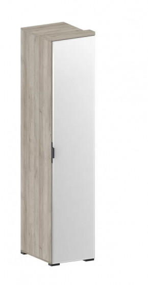 Шкаф Шаде ШК-2912 в Нефтеюганске - nefteyugansk.mebel-tymen.ru | фото