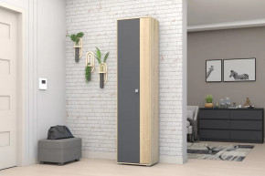 Шкаф ШК-01 Монако в Нефтеюганске - nefteyugansk.mebel-tymen.ru | фото