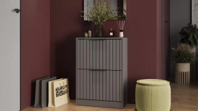 Тумба для обуви «Хилтон» Исп.2 Серый графит, Графит матовый в Нефтеюганске - nefteyugansk.mebel-tymen.ru | фото