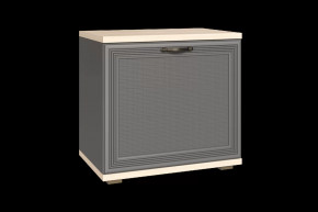 Тумба для обуви ТБ-1042 Карина в Нефтеюганске - nefteyugansk.mebel-tymen.ru | фото