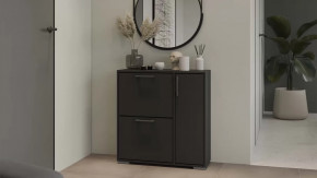 Тумба для обуви Тип 15 Антрацит в Нефтеюганске - nefteyugansk.mebel-tymen.ru | фото