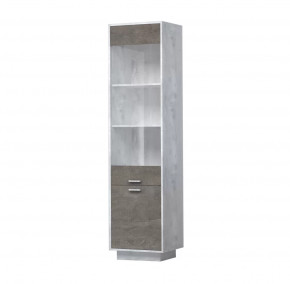 ЭГО ПС-1 Пенал с 2 дверьми 500 мм Диал в Нефтеюганске - nefteyugansk.mebel-tymen.ru | фото